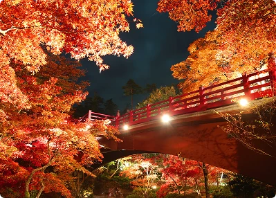 Stay in elegant Miyajima